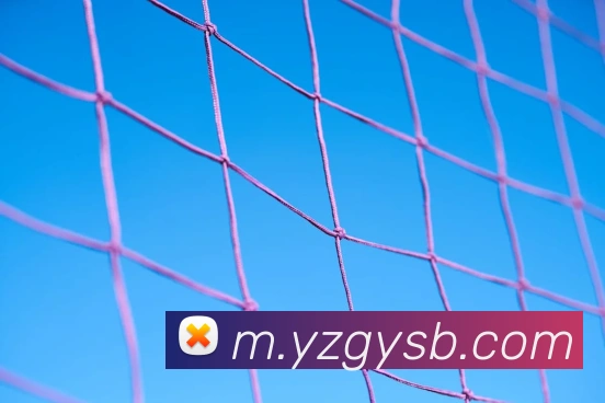 数据防护可视化